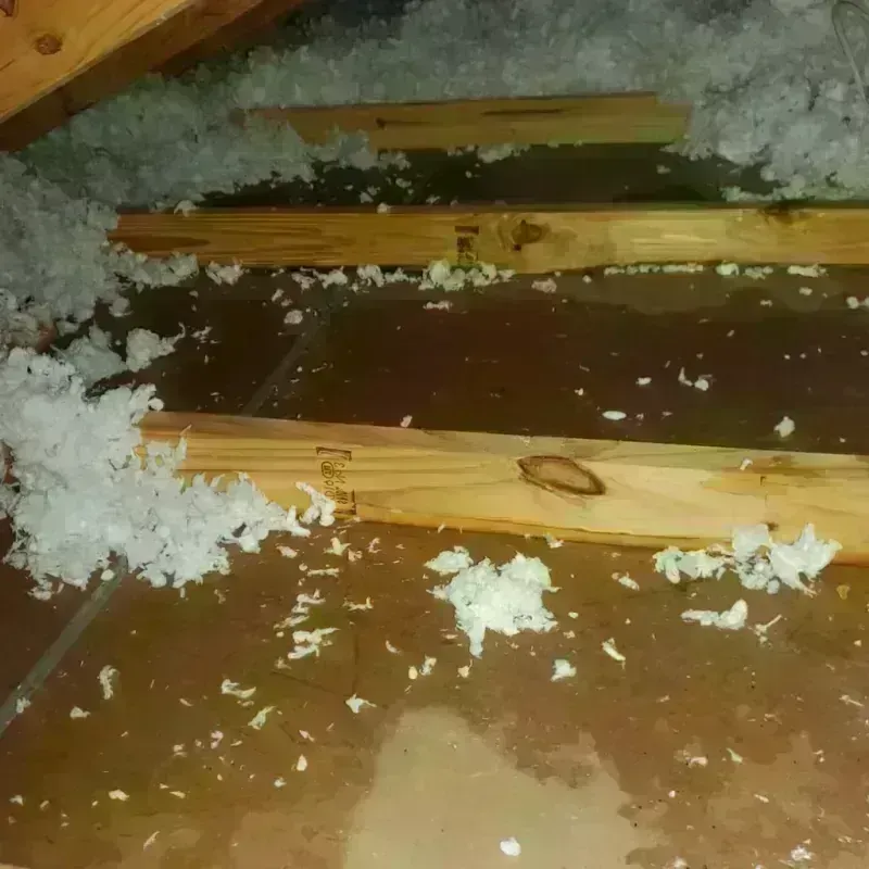 Attic Water Damage in Lemont, PA